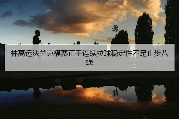 林高远法兰克福赛正手连续拉球稳定性不足止步八强